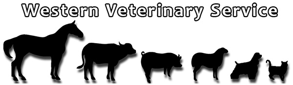 Western Veterinary Service